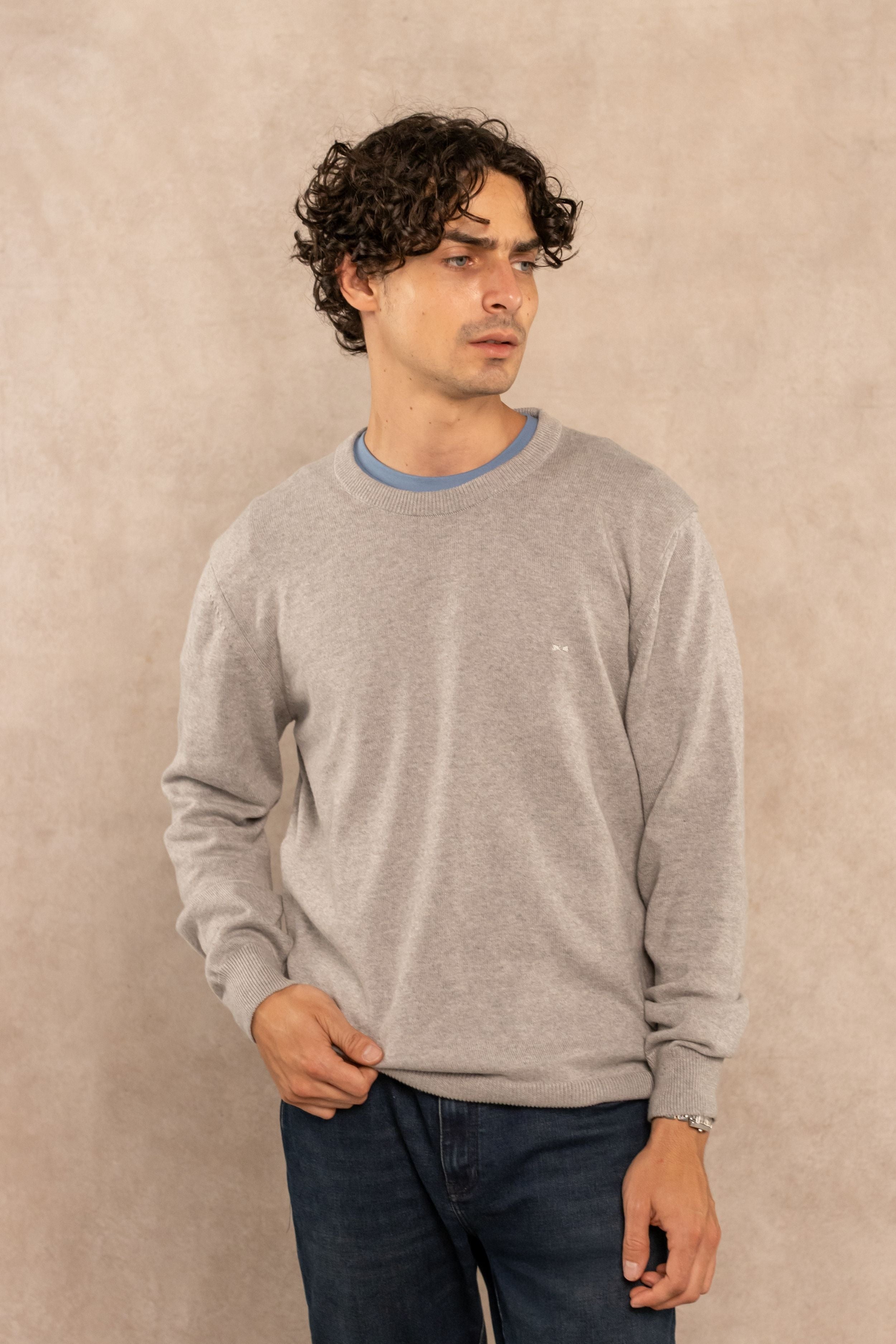 Combed Cotton Crew Neck Sweater – Light Gray