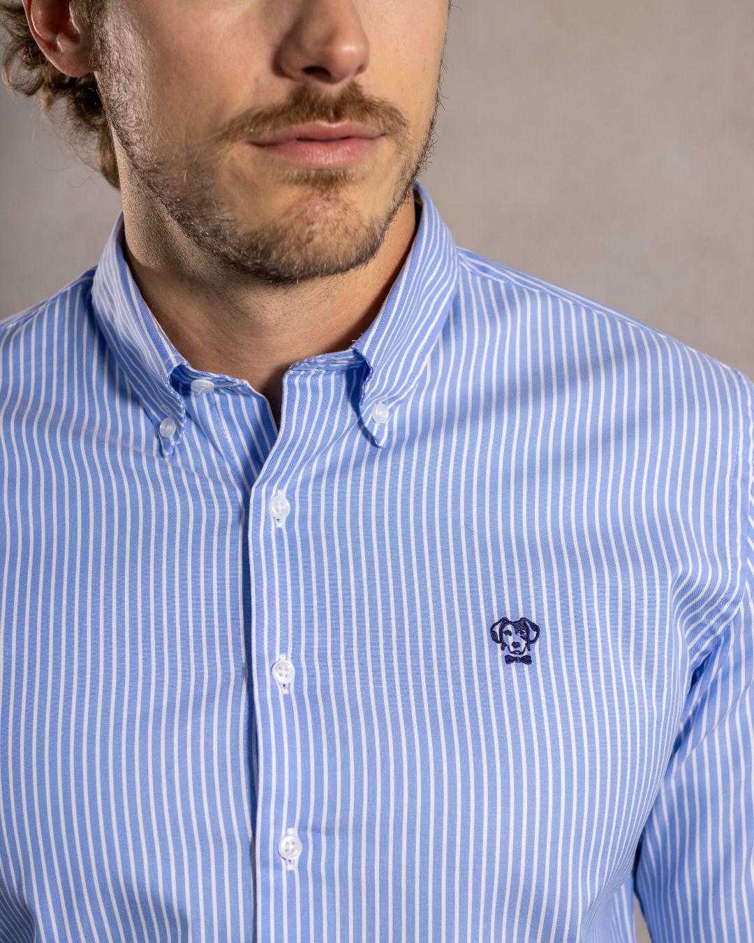 The Impeccable Shirt™ | Oxford Princeton Blue Stripes
