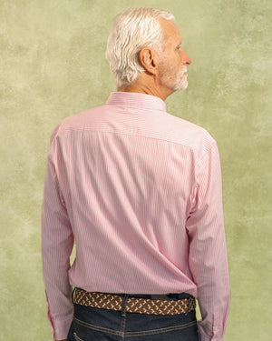 camisa antimanchas popelina rayas rosadas tela algodón popelina rayas color verde claro pagar hombre tallaje regular marca DANTE foto espaldas