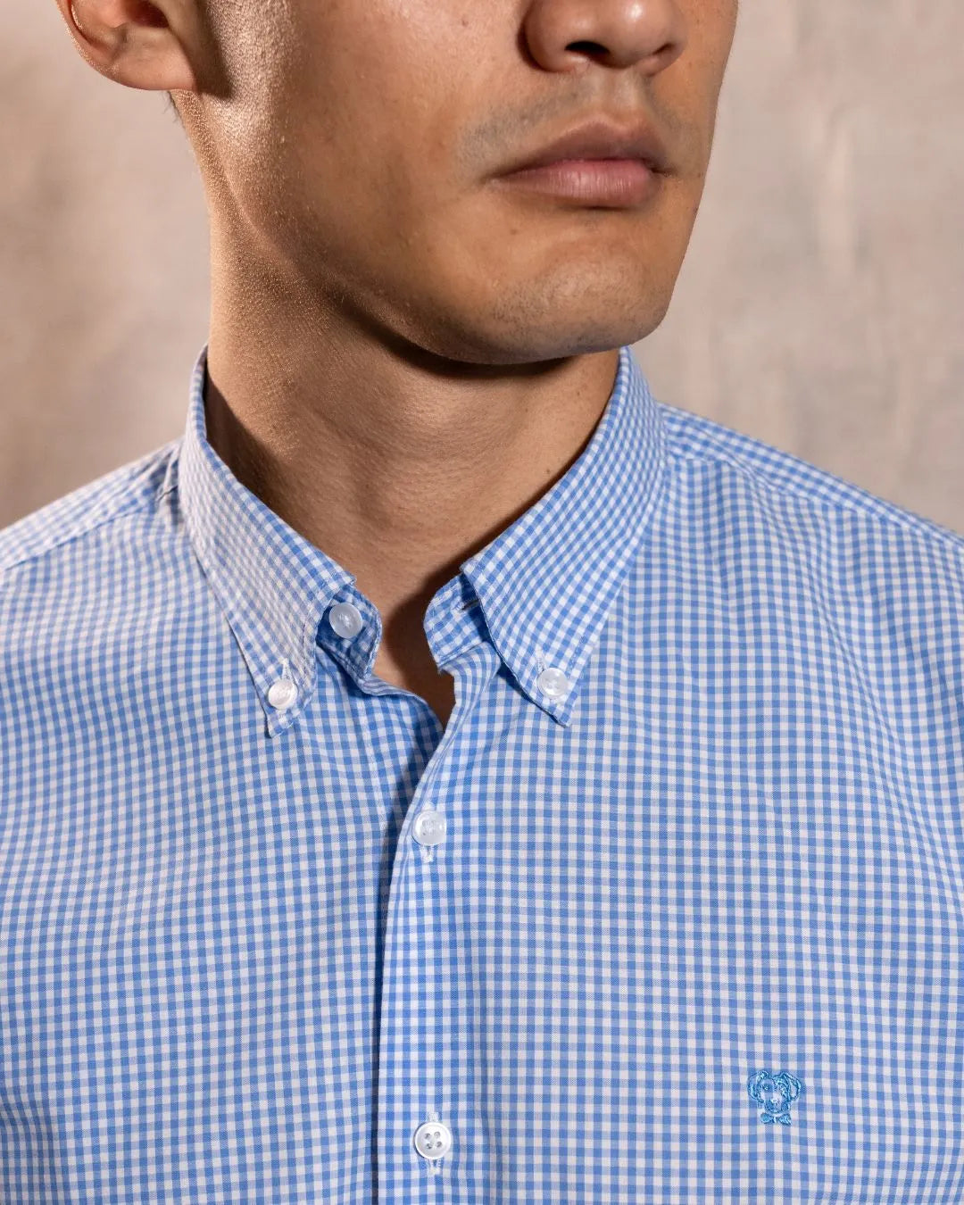 The Impeccable Shirt™ | Poplin in Light Blue Checkered Combined Logo