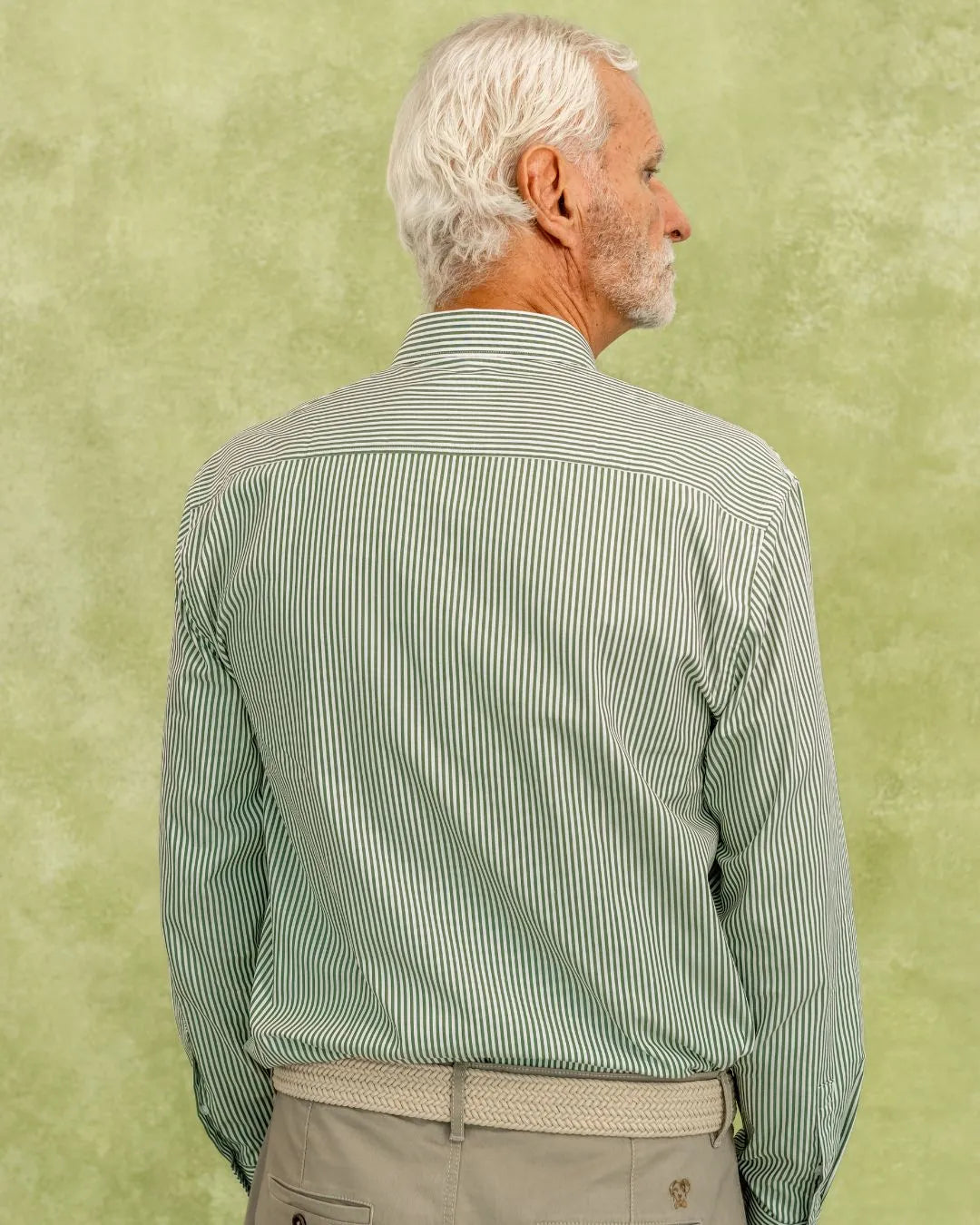 camisa antimanchas popelina rayas verde tela algodón popelina rayas color verde claro pagar hombre tallaje regular marca DANTE  foto espaldas